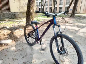 Stunt Cycle