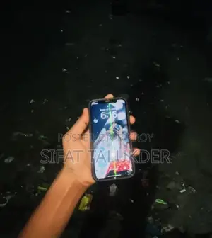 অ্যাপল আইফোন এক্সএস ২৫৬ জিবি রোজ গোল্ড