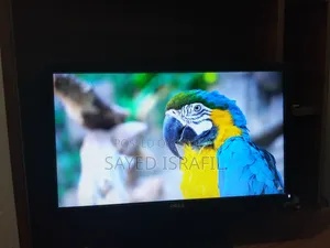 Dell Monitor