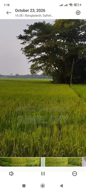জায়গা বা বিক্রয়