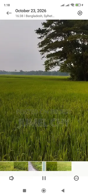জায়গা বা বিক্রয়