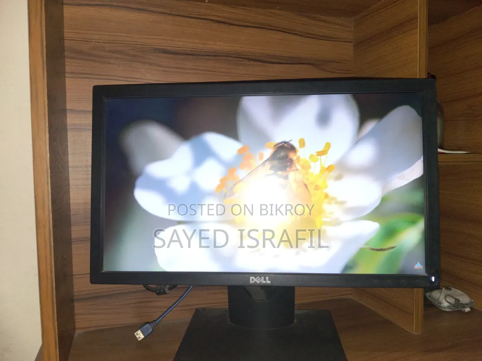Dell Monitor