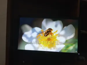 Dell Monitor