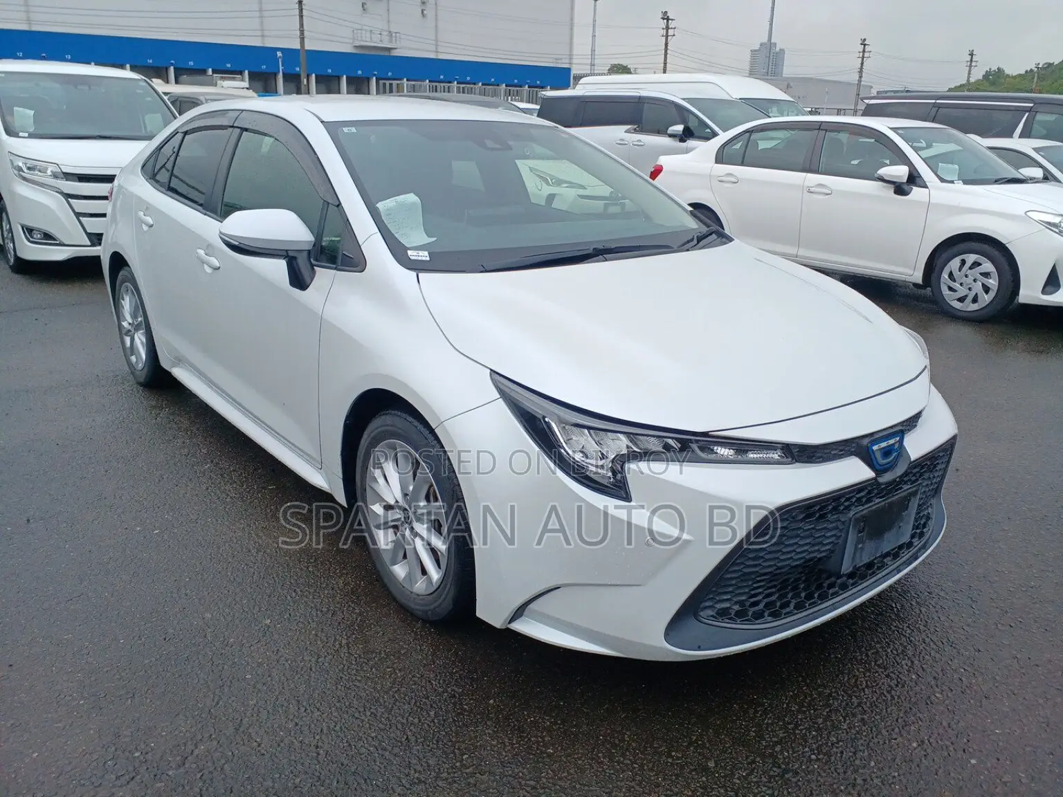 Toyota Corolla 2021 Pearl