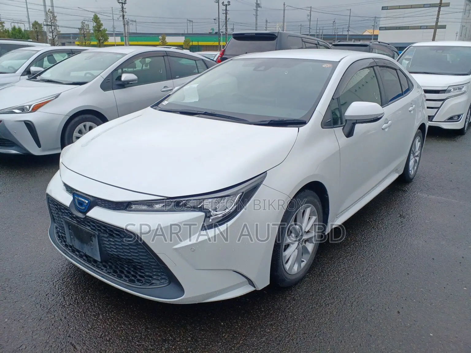 Toyota Corolla 2021 Pearl