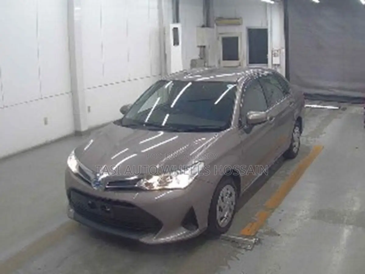 Toyota Axio 2021 Gold