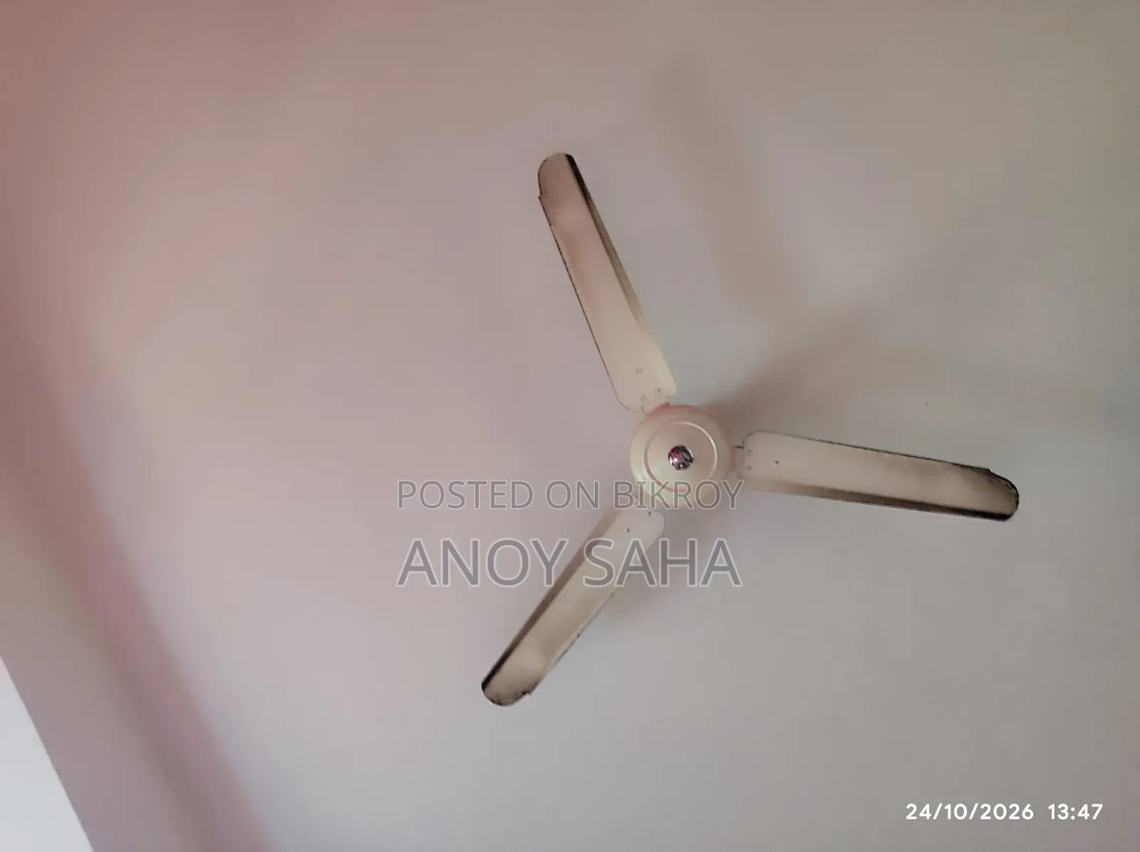 Prodip Fan for Sale