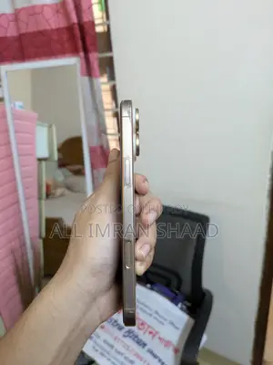 অ্যাপল আইফোন ১৬ প্রো ম্যাক্স ২৫৬ জিবি গোল্ড