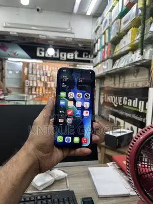 অ্যাপল আইফোন ১২ প্রো ম্যাক্স ২৫৬ জিবি ব্লু