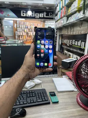 অ্যাপল আইফোন ১২ প্রো ম্যাক্স ২৫৬ জিবি ব্লু
