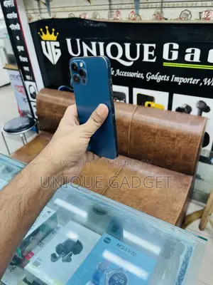 অ্যাপল আইফোন ১২ প্রো ম্যাক্স ২৫৬ জিবি ব্লু