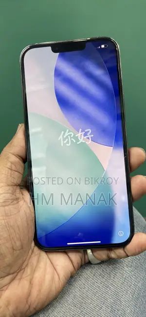 অ্যাপল আইফোন ১৩ প্রো ম্যাক্স ২৫৬ জিবি গ্রিন