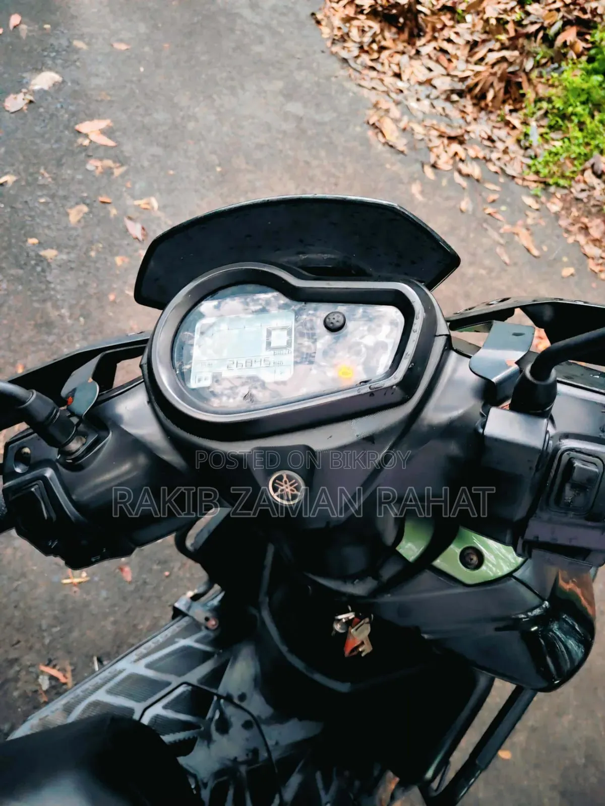 Yamaha YBR 2021 Green