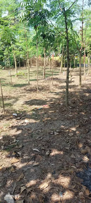 My own land. Suitable place for building a house.