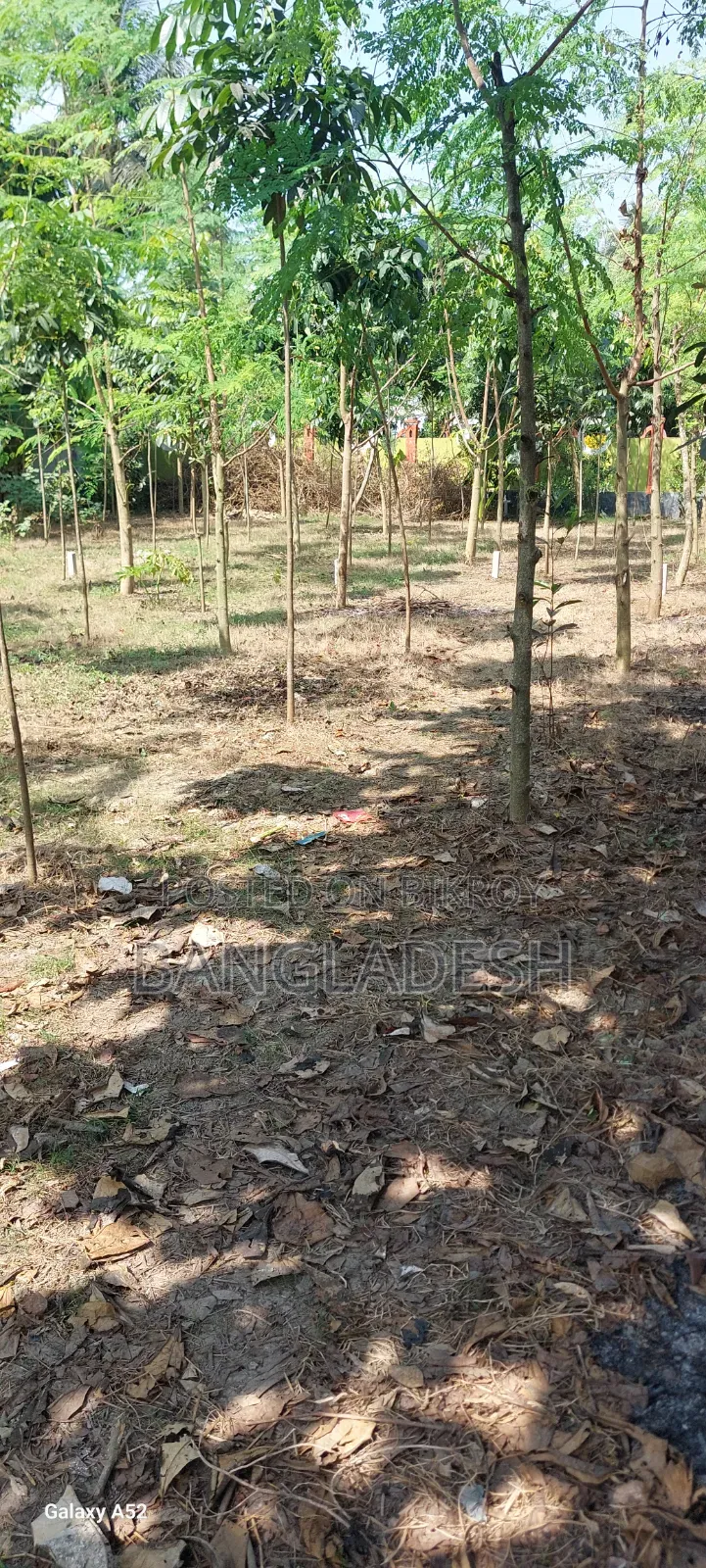 My own land. Suitable place for building a house.