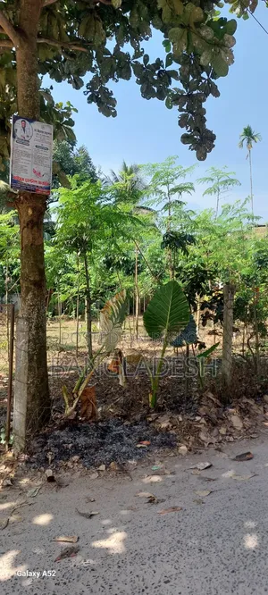 My own land. Suitable place for building a house.