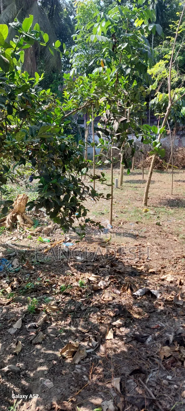 My own land. Suitable place for building a house.