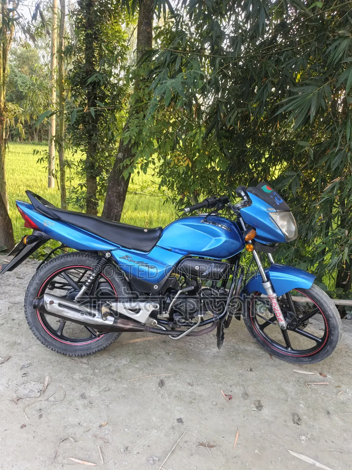দাওয়ান স্প্রাউট ১০০ ২০১৭ গ্রিন
