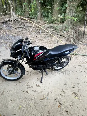 Bajaj Pulsar 150 2009 Black