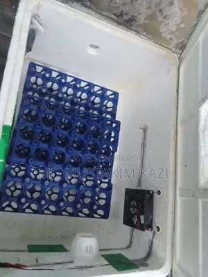 65 Egg Automatic Humidity Incubator