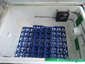 65 Egg Automatic Humidity Incubator