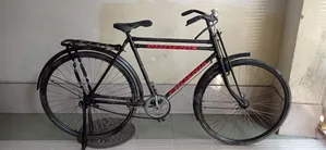 Phoenix 28 Size Bicycle
