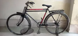 Phoenix 28 Size Bicycle