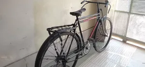 Phoenix 28 Size Bicycle