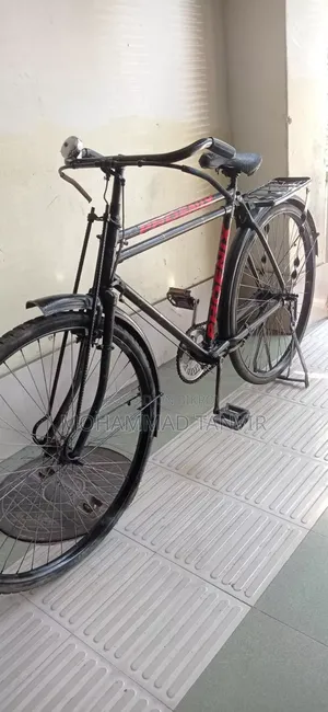 Phoenix 28 Size Bicycle