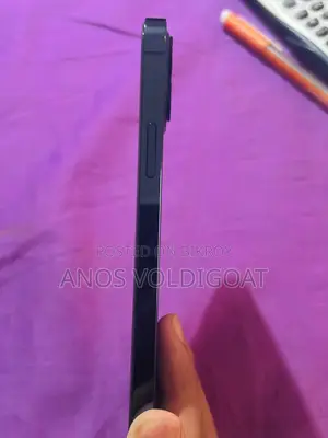 অ্যাপল আইফোন ১২ প্রো ২৫৬ জিবি নীল
