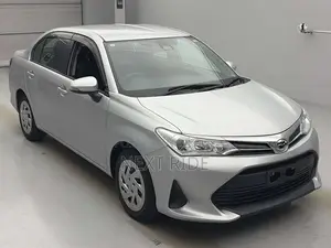 Toyota Axio 2021 Silver