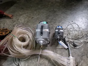 Two Oxygen Motors, One Fish Cutting Blade