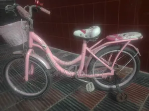 Bicycle Cycle Cycle