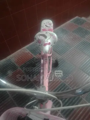 Bicycle Cycle Cycle