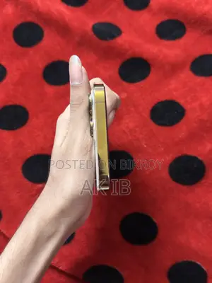 অ্যাপল আইফোন ১৩ প্রো ম্যাক্স ২৫৬ জিবি হোয়াইট
