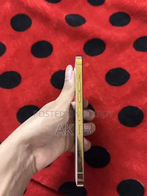 অ্যাপল আইফোন ১৩ প্রো ম্যাক্স ২৫৬ জিবি হোয়াইট
