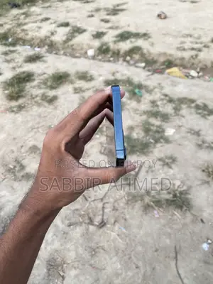 Apple iPhone 12 Pro Max 256 GB Blue