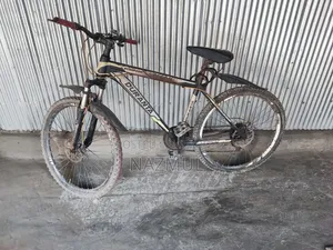 Durata Gear Bicycle