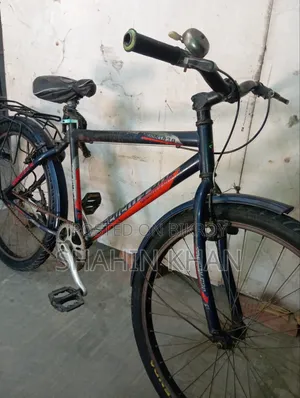 26" Non-Gear Seventy-One Running Cycle