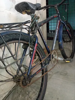 26" Non-Gear Seventy-One Running Cycle