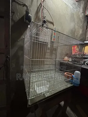 Bird Cage