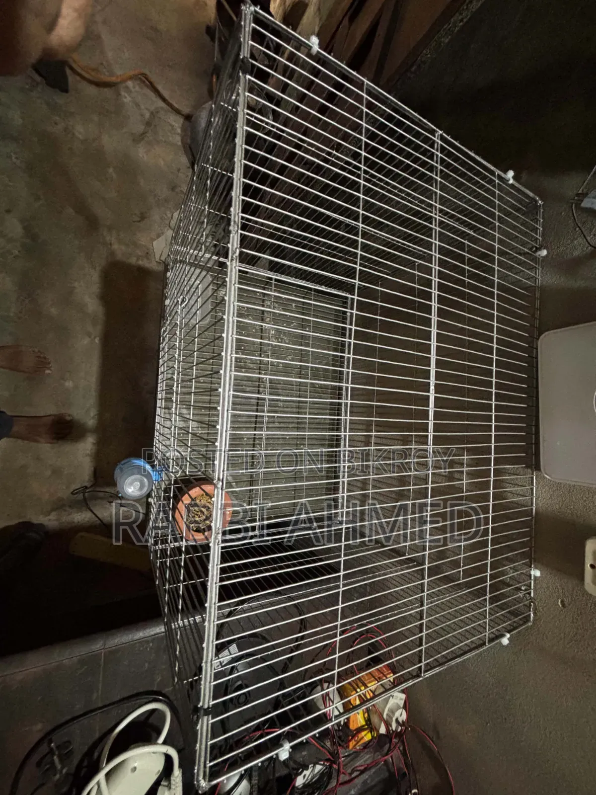 Bird Cage