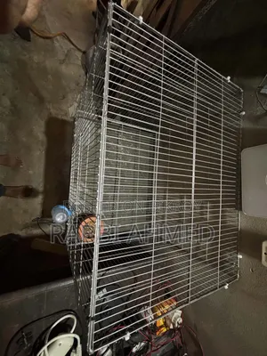 Bird Cage