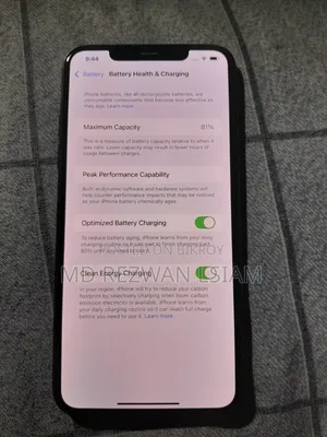Apple iPhone 11 Pro Max 256 GB Gray