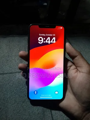 Apple iPhone 11 Pro Max 256 GB Gray