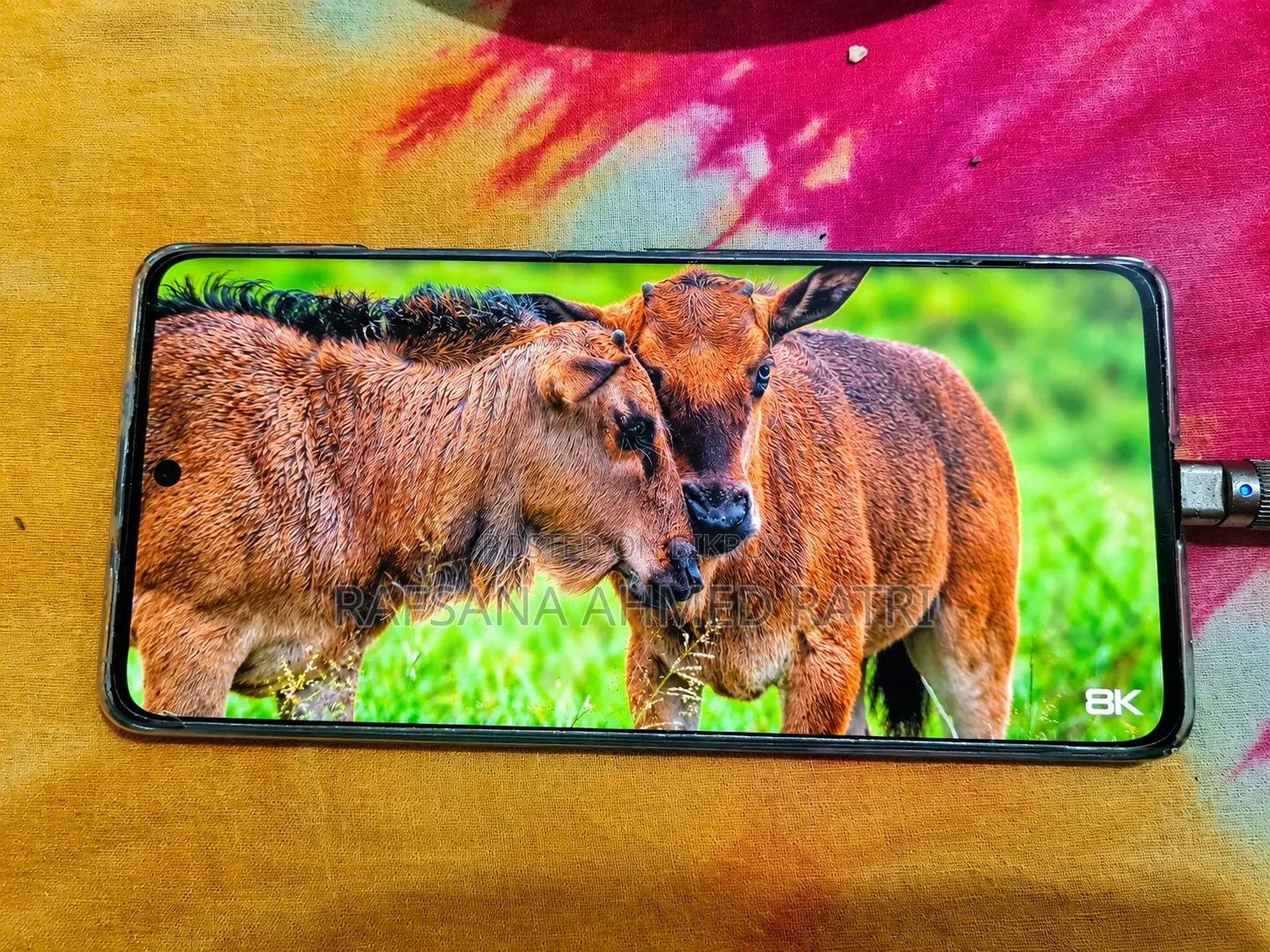 শাওমি সিভি ১এস ২৫৬ জিবি ব্ল্যাক