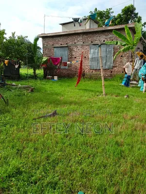 3 Shotok Land for Sale