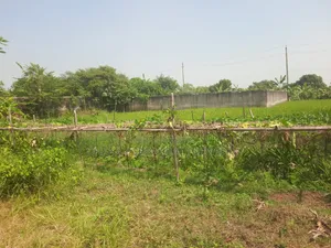 Sector-18, Road-307, South Facing Plot for Sale