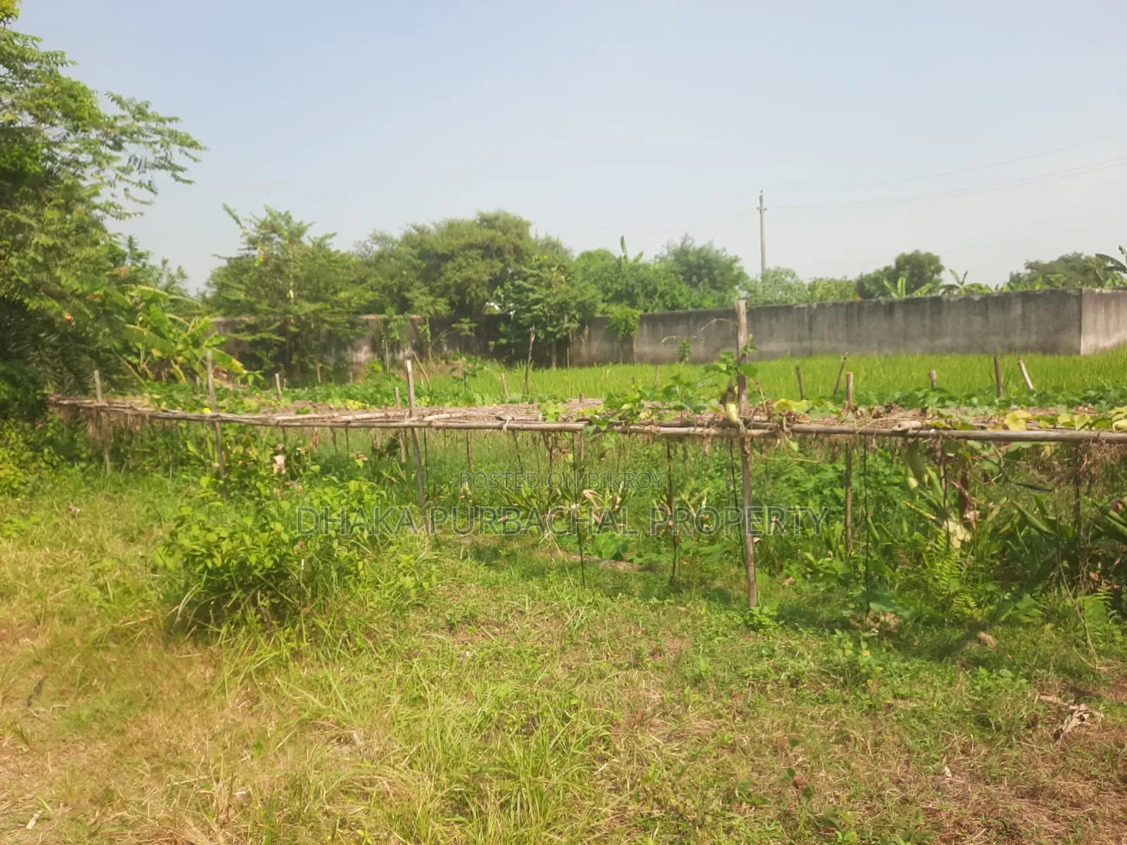 সেক্টর-১৮, রোড-৩০৭, দক্ষিণমুখী প্লট বিক্রি