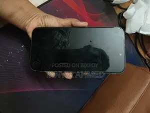 Apple iPhone 15 Pro Max 256 GB Silver